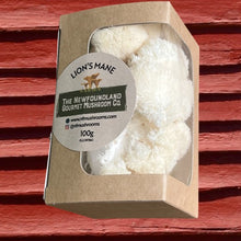 Load image into Gallery viewer, Fresh Lion's Mane Mushrooms (100g)
