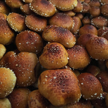 Load image into Gallery viewer, Cinnamon Cap Mushrooms Value Pack (227g)