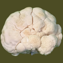 Load image into Gallery viewer, Fresh Lion's Mane Mushrooms (100g)