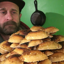 Load image into Gallery viewer, Cinnamon Cap Mushrooms Value Pack (227g)