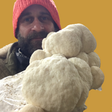 Load image into Gallery viewer, Lion's Mane Value Pack (227g)