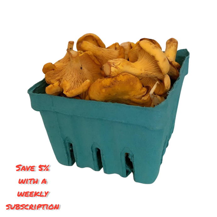 Fresh Chanterelles (100g)